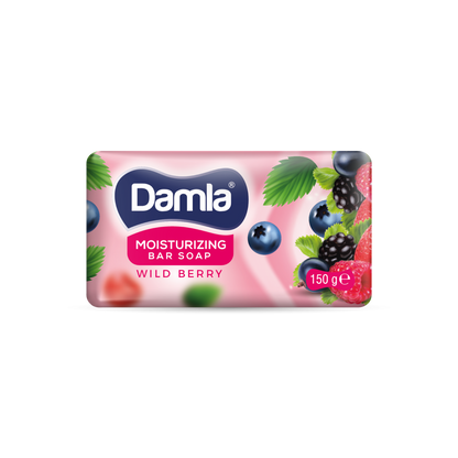 ТОАЛЕТЕН САПУН DAMLA 150  ГР. * 48 – КАШОН 48 БР.