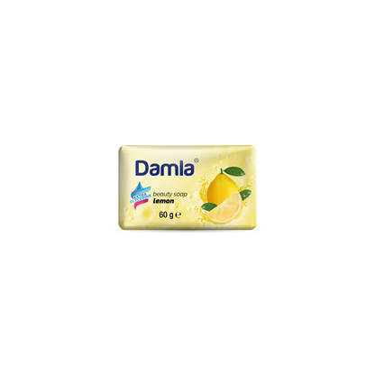 ТОАЛЕТЕН САПУН DAMLA 60 ГР. * 80