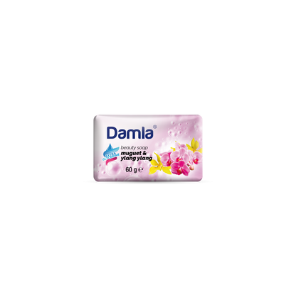 ТОАЛЕТЕН САПУН DAMLA 60 ГР. * 80
