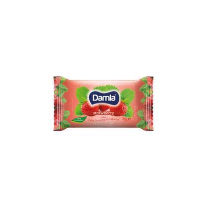 ТОАЛЕТЕН САПУН DAMLA 72 ГР. * 81