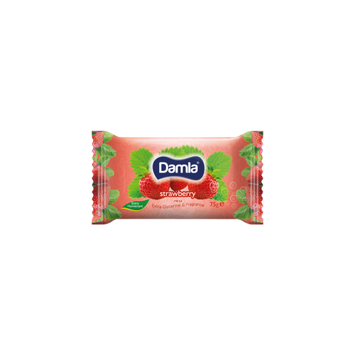 ТОАЛЕТЕН САПУН DAMLA 72 ГР. * 81